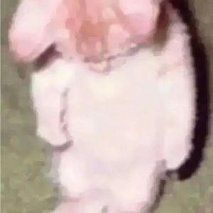 Meet your Posher, Jose